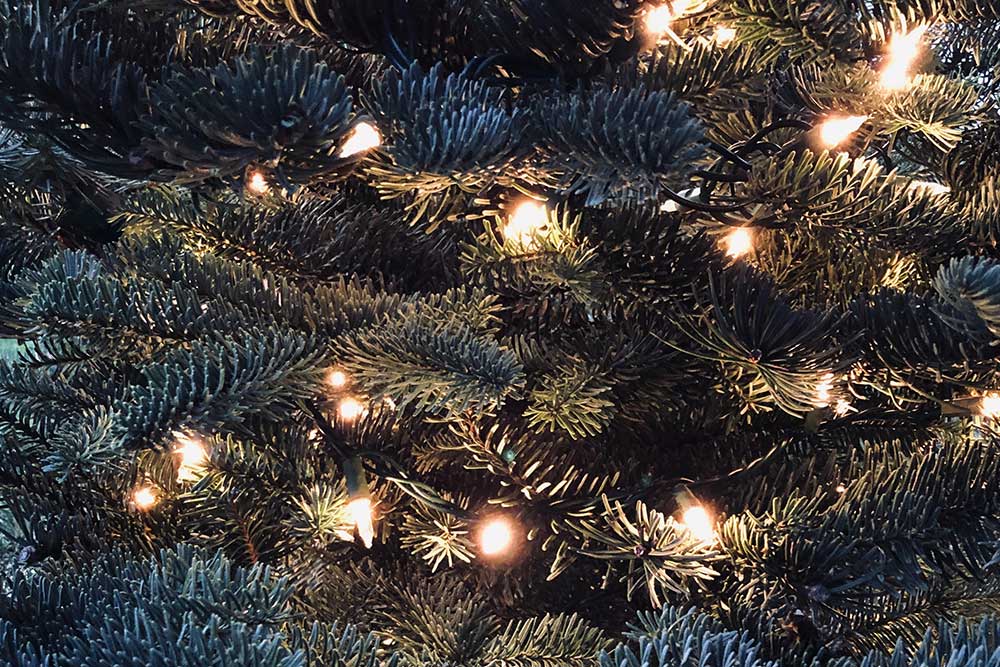 Holiday tree lights